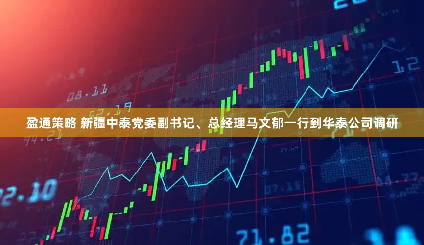 盈通策略 新疆中泰党委副书记、总经理马文郁一行到华泰公司调研