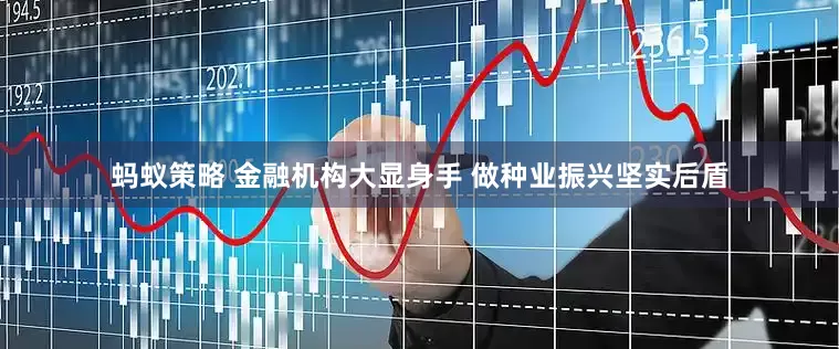 蚂蚁策略 金融机构大显身手 做种业振兴坚实后盾