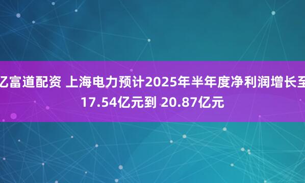 亿富道配资 上海电力预计2025年半年度净利润增长至17.54亿元到 20.87亿元