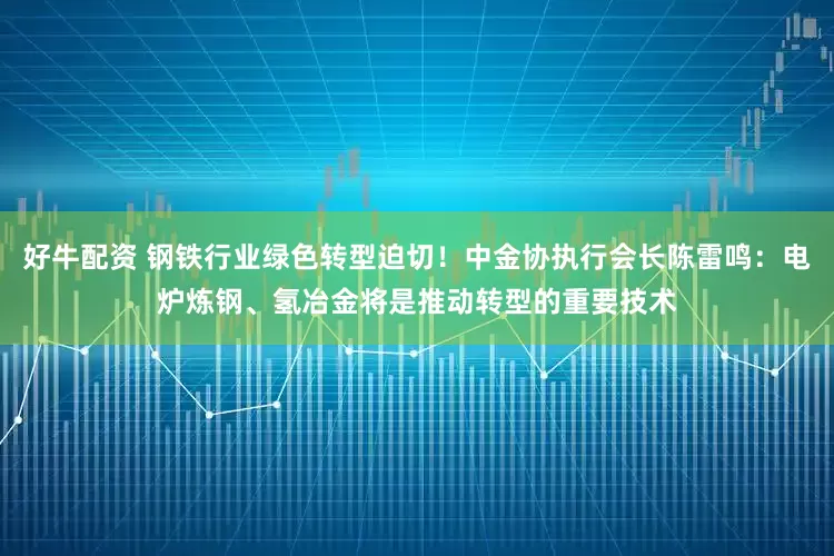 好牛配资 钢铁行业绿色转型迫切！中金协执行会长陈雷鸣：电炉炼钢、氢冶金将是推动转型的重要技术